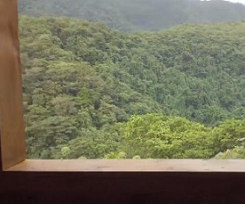 Samoa's bird-watching nature trail opens