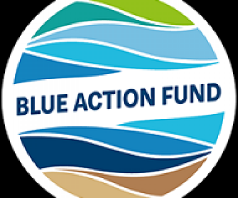 blue action fund logo