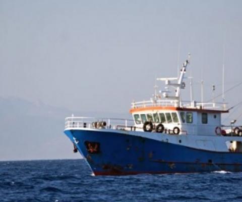 Rules around trawling virgin seabed in the spotlight. Credit - www.rnz.co.nz