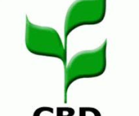 CBD logo
