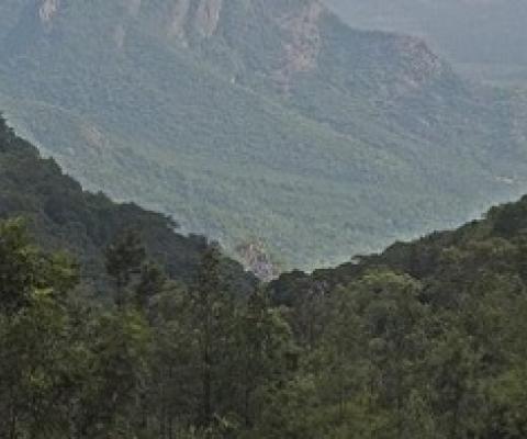 Ecological civilisation and the new global biodiversity framework. SOURCE - MONGABAY.COM