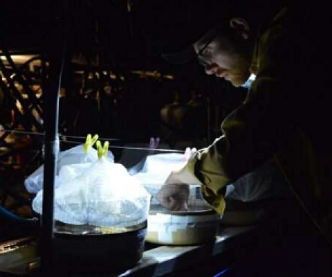 Credit: Trinity College Dublin