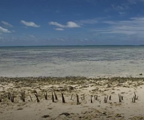 Climate change a 'threat' to Pacific Food Systems. Credit - www.emtv.com.pg