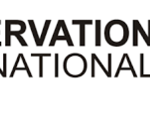 Ocean conservation