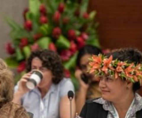 Cook Islands delegate at Pacific Agriculture Week in Samoa. source - www.cookislandsnews.com