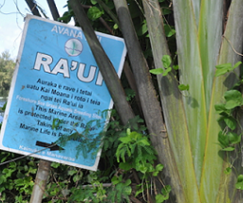 A neglected ra’ui sign by Muri Lagoon on Rarotonga. Image by Monica Evans for Mongabay.
