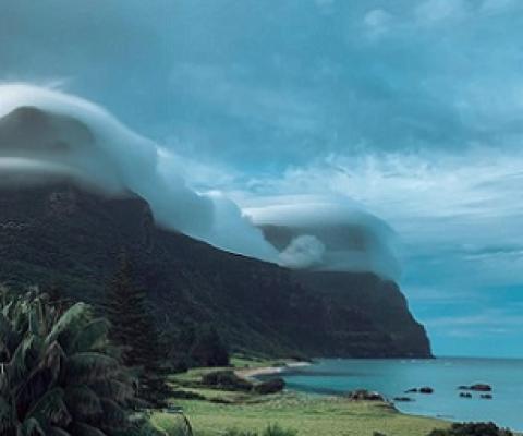 A balanced ecosystem helps the cloud forest appear at the top of Lord Howe Island mountains.(Supplied: Bree-Anna Brunjes)