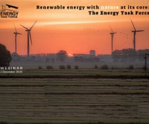 CMS webinar flyer. credit - www.cms.int