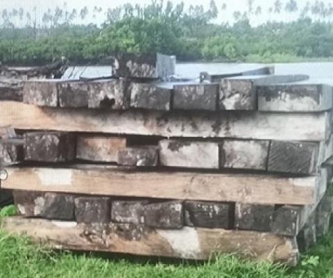 COI reveals Illegal Logging in Batbang, Aore, Matevulu, VATHE. Credit - COI report