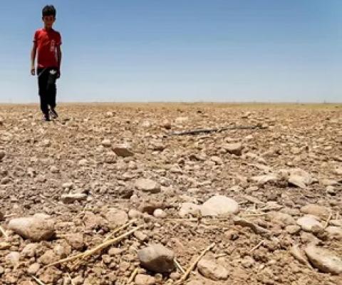 A boy walks through a dried up field in eastern Iraq, which suffered a blistering summer heatwave and drought this year. Photograph: Ahmad Al-Rubaye/AFP/Getty Images