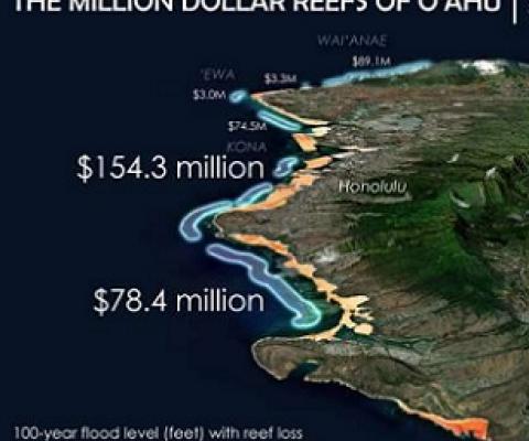 Each kilometer of the highlighted reefs on this map of Oahu provides over $1 million in flood protection benefits each year. Credit: Map by Chris Lowrie and Jessica Kendall-Bar