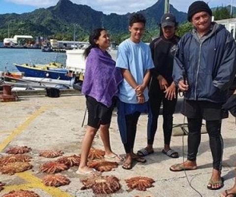 The group collected 20 taramea last week during the 'Ātui'anga ki te Tango senior programme with biologist Dr Teina Rongo. KŌRERO O TE 'ŌRAU 20071221/20071222/20071223