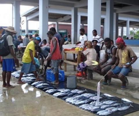 Coastal fisheries provide vital food security and household incomes throughout the Pacific Islands. The fish market, Auki, Malaita Province, Solomon Islands. Credit: Catherine Wilson/IPS