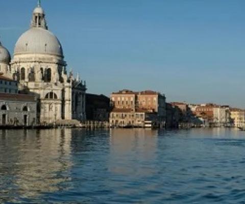 Clear water is seen in the canals of Venice due to fewer tourists and motorboats and less pollution, as the spread of the Covid-19 continues. Photograph: Manuel Silvestri/Reuters