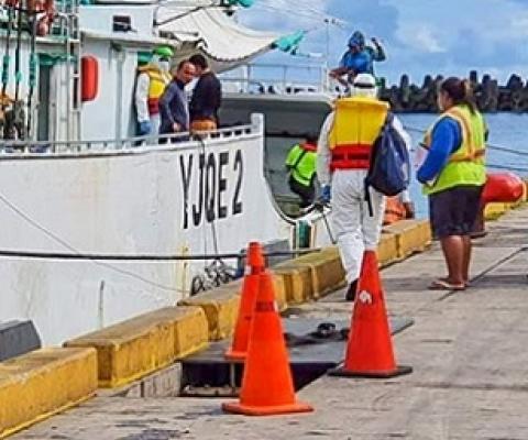 COVID-19 protocols being practiced at Apia Port, Samoa. Source - http://www.tunapacific.org/