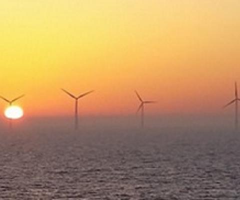 Coronavirus recovery should ‘build back bluer’