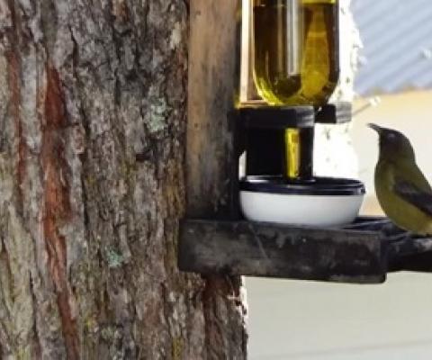 New research needed to gauge impact of Covid-19 lockdown on environment