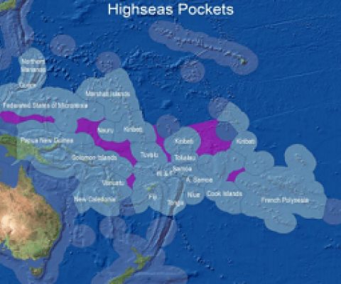 Could Covid help to protect the Pacific’s fisheries?