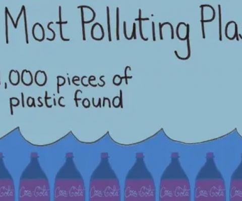  Photograph: Mona Chalabi/The Guardian