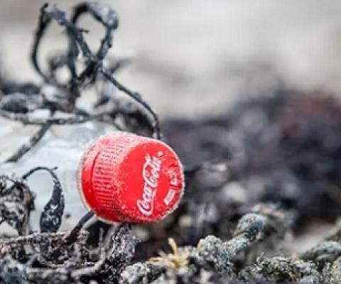 Coca-Cola bottle on a beach in Mull, Scotland. The company has come under fire for saying it would not abandon single-use plastics. Photograph: Will Rose/Greenpeace