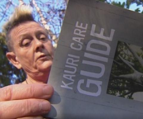 Groups are desperate for money and warn without it, the environmental impact could be irreversible. Source: 1 NEWS