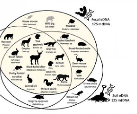 Venn diagram shows species recorded in Stanford's Jasper Ridge Biological Preserve. Credit - MEYERS, ET AL. / FRONTIERS IN ECOLOGY AND EVOLUTION