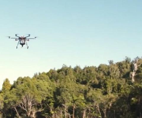 Drone dispersing seeds. Credit - www.rnz.co.nz