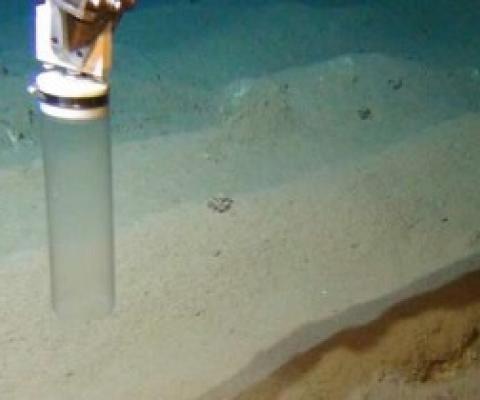 Sampling at a 6-year-old plough track in the DISCOL-area. Credit: ROV-Team/GEOMAR