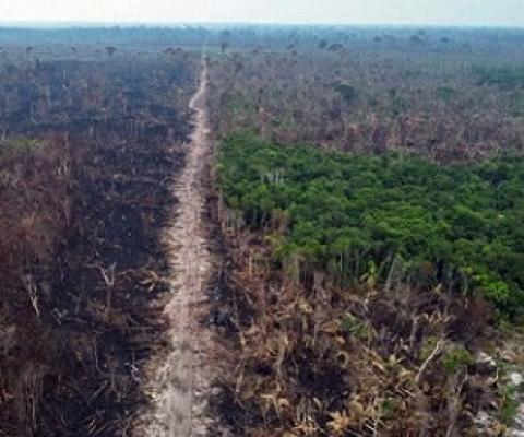 Deforested areas rim a highway running through the state of Amazonas in Brazil. Credit: Michael Dantas/AFP/Getty