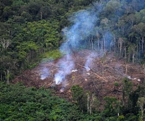 The researchers said that governments had consistently failed to address the root cause of climate change: "the overexploitation of the Earth". Credit - www.phys.org