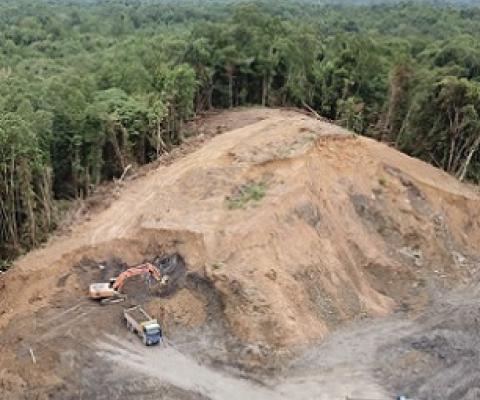 Earthmovers clear trees for a palm oil plantation in Malaysia. (Credit: Rich Carey/Shutterstock)