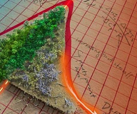Graphic depicting the temperature tipping point at which Earth's plants will start decreasing the amount of human-caused carbon emissions they can absorb. Credit: Victor O. Leshyk/Northern Arizona University