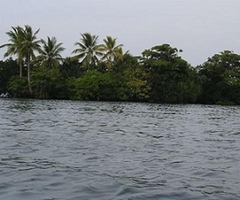 East Renell World heritage Site, Solomon Islands. Creative Commons