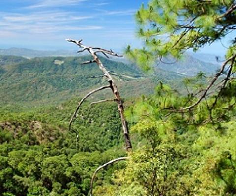 The Sierra de Manantlán biosphere reserve in Mexico is a source of clean water for urban residents in nearby cities.Credit: Adriana Margarita Larios Arellano/Shutterstock