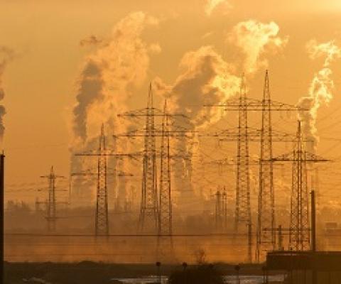 Overconsumption and growth economy key drivers of environmental crises. CC0 Public Domain