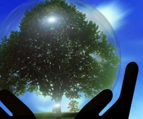 Environmental policy often has undesirable side effects