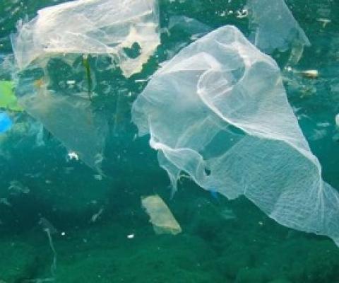 New research from NUI Galway and the University of Limerick has for the first time quantified the volume of plastic from European countries (EU, UK, Switzerland and Norway) that contributes to ocean littering from exported recycling. Credit: Shutterstock/NUI Galway