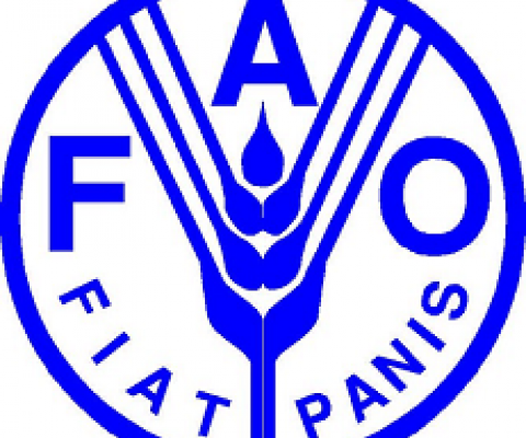 FAO logo