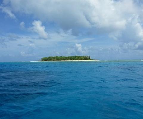 Funafuti Conservation Area, Tuvalu. Credit - V. Jungblut
