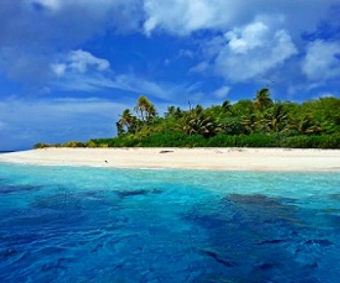 Funafuti Conservation Area, Tuvalu. Credit - V. Jungblut