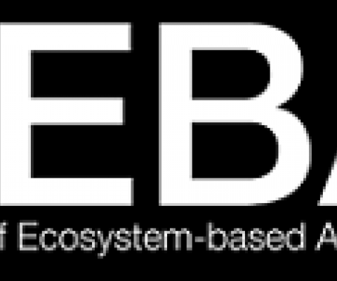 FEBA logo