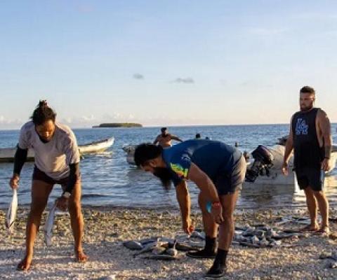 Men sort their catch in Tokelau – bigger families get bigger shares. Photograph: Elena Pasilio