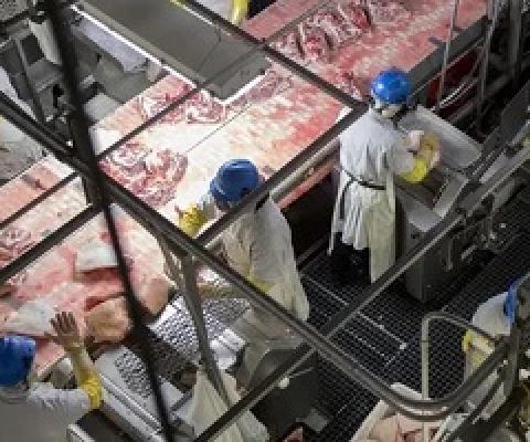 ‘Individually, we must stop eating animal products. Collectively, we must transform the global food system and work toward ending animal agriculture.’ Photograph: Daniel Acker/Bloomberg/Getty Images