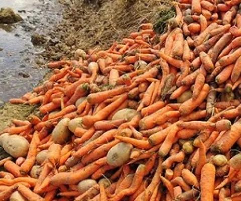 Food waste by consumers may be double then what we first thought. Source -https://www.newscientist.com/ nmews