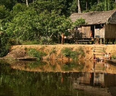 This photograph, taken in the Médio Juruá region of Amazonas State, Brazil. shows the houses of forest-proximate people living in sustainable development reserves in Amazonia. Credit: Peter Newton, University of Colorado Boulder