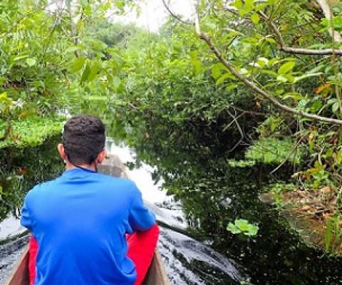 A boat passes through a riverine forest at the Bay of Cispata. Credit - HectorPertuz, Wikimedia Commons