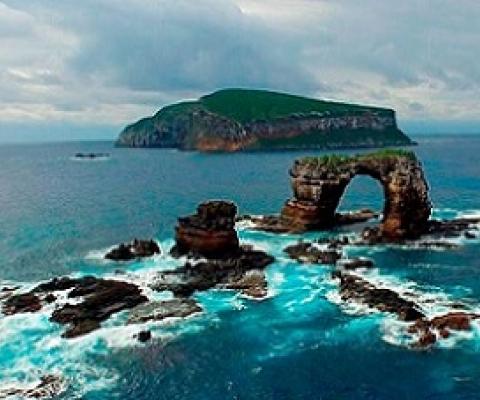 Galapagos Marine Reserve, Ecuador. Credit - https://naturegalapagos.com/