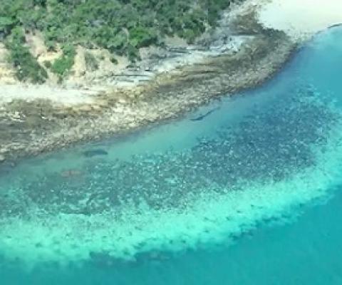 For the first time, severe bleaching has struck all three regions of the Great Barrier Reef. ARC Centre of Excellence for Coral Reef Studies