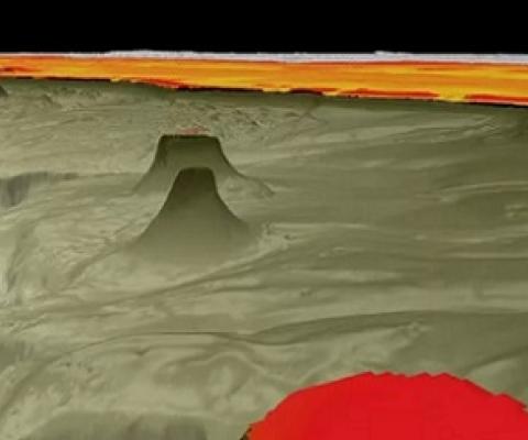 Mapping profile of the newly discovered reef. Credit - SCHMIDT OCEAN INSTITUTE