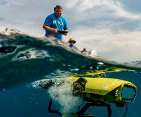 Scientists tackle starﬁsh plagues on Great Barrier Reef. Photo: Gary Cranitch/Queensland Museum/Great Barrier Reef Foundation